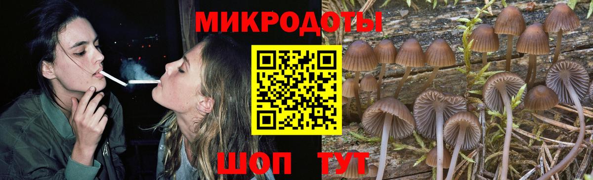 Амурск  Псилоцибиновые грибы GOLDEN TEACHER  Вход с VPN  Псилоцибиновые грибы мухоморы 